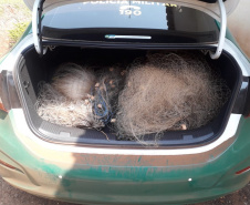 Atividades irregulares foram identificadas em parques estaduais
. Foto:SEDEST
