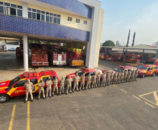 Bombeiros do Paraná vão ajudar no combate a incêndio no Pantanal. FOTO: Corpo de Bombeiros