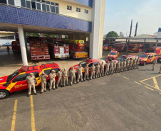 Bombeiros do Paraná vão ajudar no combate a incêndio no Pantanal. FOTO: Corpo de Bombeiros