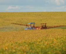 Adapar orienta sobre proibição de agrotóxicos com Paraquat. Foto: Jonas Oliveira/Arquivo AEN