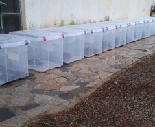 Polícia Ambiental do Paraná prende 231 pessoas e resgata 234 animais e mais de 2 mil aves silvestres no semestre. Foto: SESP