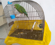 Polícia Ambiental do Paraná prende 231 pessoas e resgata 234 animais e mais de 2 mil aves silvestres no semestre. Foto: SESP