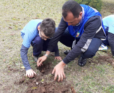 Dia da Árvore terá plantio de 550 mil mudas em todo o Estado. Foto: Tecpar/Arquivo AEN