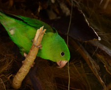 Portos do Paraná mantêm cuidado com o meio ambiente. Foto:lLeonardo de Conto