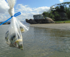 Portos do Paraná mantêm cuidado com o meio ambiente. Foto: Portos do Paraná