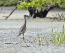 Portos do Paraná mantêm cuidado com o meio ambiente. Foto:lLeonardo de Conto