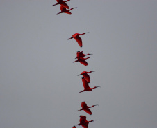 Portos do Paraná mantêm cuidado com o meio ambiente. Foto:lLeonardo de Conto
