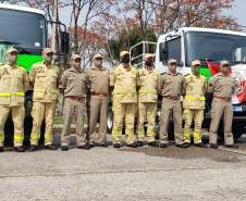 Bombeiros do Paraná completam dez dias de combate a incêndios no Pantanal
. Foto: Corpo de Bombeiros