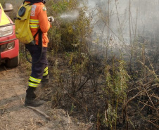 Bombeiros do Paraná completam dez dias de combate a incêndios no Pantanal
. Foto: Corpo de Bombeiros