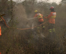 Bombeiros do Paraná completam dez dias de combate a incêndios no Pantanal
. Foto: Corpo de Bombeiros