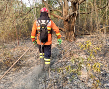 Bombeiros do Paraná completam dez dias de combate a incêndios no Pantanal
. Foto: Corpo de Bombeiros