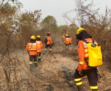 Bombeiros do Paraná completam dez dias de combate a incêndios no Pantanal
. Foto: Corpo de Bombeiros