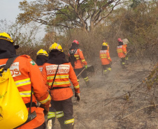 Bombeiros do Paraná completam dez dias de combate a incêndios no Pantanal
. Foto: Corpo de Bombeiros