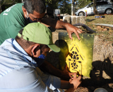 A Rota dos Pioneiros, a maior trilha aquática do Brasil e que deve ser tornar a maior do mundo, está retomando suas atividades. O grupo de voluntários responsável pela demarcação da rota ao longo do Rio Paraná e de seus afluentes voltou a fazer a sinalização do percurso, depois de uma interrupção de sete meses por causa da pandemia do novo coronavírus. Alguns passeios de caiaque pelo rio também voltaram a ser oferecidos por guias locais.  Foto:Divulgação