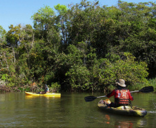 A Rota dos Pioneiros, a maior trilha aquática do Brasil e que deve ser tornar a maior do mundo, está retomando suas atividades. O grupo de voluntários responsável pela demarcação da rota ao longo do Rio Paraná e de seus afluentes voltou a fazer a sinalização do percurso, depois de uma interrupção de sete meses por causa da pandemia do novo coronavírus. Alguns passeios de caiaque pelo rio também voltaram a ser oferecidos por guias locais.  Foto: Erick Caldas Xavier