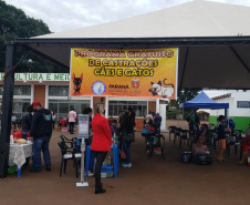 A Secretaria de Estado do Desenvolvimento Sustentável e do Turismo já realizou mais de 5.300 castrações de animais domésticos pelo Programa Permanente de Esterilização de Cães e Gatos.Foto: Prefeitura de Campo Mourão