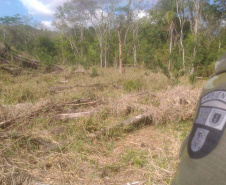 Em oito dias de ações, o Batalhão de Polícia Ambiental-Força Verde (BPAmb-FV) lavrou 26 autos de infração ambiental e aplicou mais de R$ 2,5 milhões em multas por desmatamento de florestas em todo o estado pela quarta edição da Operação Mata Atlântica em Pé. O trabalho é feito em conjunto com o Instituto Água e Terra (IAT), o Ibama e o Ministério Público do Paraná. Foto:SESP