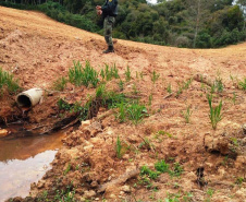Em oito dias de ações, o Batalhão de Polícia Ambiental-Força Verde (BPAmb-FV) lavrou 26 autos de infração ambiental e aplicou mais de R$ 2,5 milhões em multas por desmatamento de florestas em todo o estado pela quarta edição da Operação Mata Atlântica em Pé. O trabalho é feito em conjunto com o Instituto Água e Terra (IAT), o Ibama e o Ministério Público do Paraná. Foto:SESP