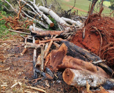 Em oito dias de ações, o Batalhão de Polícia Ambiental-Força Verde (BPAmb-FV) lavrou 26 autos de infração ambiental e aplicou mais de R$ 2,5 milhões em multas por desmatamento de florestas em todo o estado pela quarta edição da Operação Mata Atlântica em Pé. O trabalho é feito em conjunto com o Instituto Água e Terra (IAT), o Ibama e o Ministério Público do Paraná. Foto:SESP