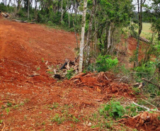 Em oito dias de ações, o Batalhão de Polícia Ambiental-Força Verde (BPAmb-FV) lavrou 26 autos de infração ambiental e aplicou mais de R$ 2,5 milhões em multas por desmatamento de florestas em todo o estado pela quarta edição da Operação Mata Atlântica em Pé. O trabalho é feito em conjunto com o Instituto Água e Terra (IAT), o Ibama e o Ministério Público do Paraná. Foto:SESP