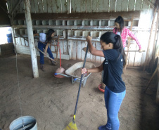 Colégios agrícolas superam desafios ainda maiores com ensino remoto. Foto:SEED