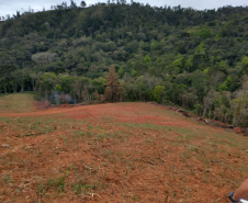 A quarta edição da Operação Mata Atlântica em Pé, organizada pelo Ministério Público, com apoio do Batalhão de Polícia Ambiental Força-Verde (BPAmb-FV), do Instituto Água e Terra (IAT) e do Ibama, foi encerrada após 14 dias de ações em todo o Paraná. Foto:SESP