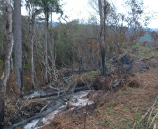 A quarta edição da Operação Mata Atlântica em Pé, organizada pelo Ministério Público, com apoio do Batalhão de Polícia Ambiental Força-Verde (BPAmb-FV), do Instituto Água e Terra (IAT) e do Ibama, foi encerrada após 14 dias de ações em todo o Paraná. Foto:SESP