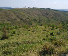A quarta edição da Operação Mata Atlântica em Pé, organizada pelo Ministério Público, com apoio do Batalhão de Polícia Ambiental Força-Verde (BPAmb-FV), do Instituto Água e Terra (IAT) e do Ibama, foi encerrada após 14 dias de ações em todo o Paraná. Foto:SESP