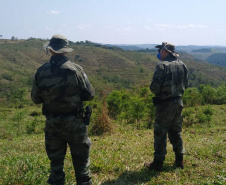 A quarta edição da Operação Mata Atlântica em Pé, organizada pelo Ministério Público, com apoio do Batalhão de Polícia Ambiental Força-Verde (BPAmb-FV), do Instituto Água e Terra (IAT) e do Ibama, foi encerrada após 14 dias de ações em todo o Paraná. Foto:SESP