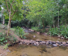 A quarta edição da Operação Mata Atlântica em Pé, organizada pelo Ministério Público, com apoio do Batalhão de Polícia Ambiental Força-Verde (BPAmb-FV), do Instituto Água e Terra (IAT) e do Ibama, foi encerrada após 14 dias de ações em todo o Paraná. Foto:SESP
