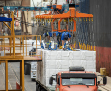 
Segue crescente o volume de cargas movimentado pelos portos paranaenses em 2020. Comparando os meses de setembro, deste e do ano passado, o acréscimo registrado passa dos 28%. 