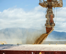
Segue crescente o volume de cargas movimentado pelos portos paranaenses em 2020. Comparando os meses de setembro, deste e do ano passado, o acréscimo registrado passa dos 28%. 