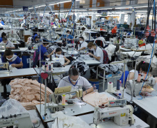Sai do Sudoeste do Paraná a maior parte das roupas masculinas confeccionadas no Brasil.
A Krindges é pioneira na região, fundada há 43 anos, foi quem deu início ao processo de industrialização de Ampére e redondezas. Hoje, com 850 funcionários, é a maior empregadora do município e uma das mais importantes produtoras de roupas masculinas do país.