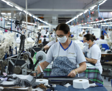 Sai do Sudoeste do Paraná a maior parte das roupas masculinas confeccionadas no Brasil.
A Krindges é pioneira na região, fundada há 43 anos, foi quem deu início ao processo de industrialização de Ampére e redondezas. Hoje, com 850 funcionários, é a maior empregadora do município e uma das mais importantes produtoras de roupas masculinas do país.