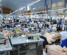 Sai do Sudoeste do Paraná a maior parte das roupas masculinas confeccionadas no Brasil.
A Krindges é pioneira na região, fundada há 43 anos, foi quem deu início ao processo de industrialização de Ampére e redondezas. Hoje, com 850 funcionários, é a maior empregadora do município e uma das mais importantes produtoras de roupas masculinas do país.