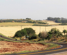 	Ligação entre Marialva e o distrito de Aquidaban recebe melhorias . Foto:DER