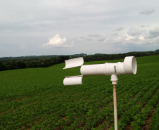 O Instituto de Desenvolvimento Rural do Paraná - Iapar-Emater (IDR-Paraná) inicia oficialmente nesta quinta-feira (15) o Alerta Ferrugem, serviço que monitora e informa sobre a ocorrência da ferrugem asiática em lavouras de soja nas regiões produtoras do Estado.Foto:SEAB