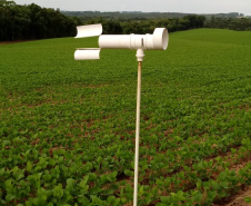 O Instituto de Desenvolvimento Rural do Paraná - Iapar-Emater (IDR-Paraná) inicia oficialmente nesta quinta-feira (15) o Alerta Ferrugem, serviço que monitora e informa sobre a ocorrência da ferrugem asiática em lavouras de soja nas regiões produtoras do Estado.Foto:SEAB