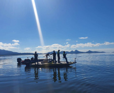 Resolução determina proteção de peixes nativosFoto:SEDEST