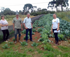 A produtora rural Juliana Mikolaiewski Dziurza, de 30 anos, decide junto com o marido o futuro da propriedade que sustenta a família, em Cruz Machado, no Sul do Paraná. Ela recebe assistência técnica do Instituto de Desenvolvimento Rural do Paraná – Iapar-Emater (IDR-Paraná) há pelo menos cinco anos. Os profissionais a ajudaram a investir na infraestrutura da propriedade e na diversificação da produção.Foto: SEAB

