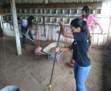Projeto de reflorestamento com uso de foguetes é de três alunas do Colégio Agrícola de Palotina e está na final do prêmio Respostas para o Amanhã, da Samsung. É o único finalista da região Sul e competiu com 800 projetos de todo o país.

Foto: SEED