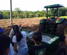 Projeto de reflorestamento com uso de foguetes é de três alunas do Colégio Agrícola de Palotina e está na final do prêmio Respostas para o Amanhã, da Samsung. É o único finalista da região Sul e competiu com 800 projetos de todo o país.

Foto: SEED