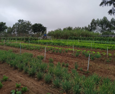 Projeto de reflorestamento com uso de foguetes é de três alunas do Colégio Agrícola de Palotina e está na final do prêmio Respostas para o Amanhã, da Samsung. É o único finalista da região Sul e competiu com 800 projetos de todo o país.

Foto: SEED
