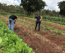 Projeto de reflorestamento com uso de foguetes é de três alunas do Colégio Agrícola de Palotina e está na final do prêmio Respostas para o Amanhã, da Samsung. É o único finalista da região Sul e competiu com 800 projetos de todo o país.

Foto: SEED
