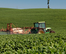 Adapar esclarece regras sobre o uso do Paraquat na safra 2020/21. Foto:SEAB