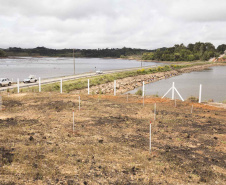 A Sanepar entregou nesta sexta-feira (23) a obra de revitalização da cabeceira da ponte da Estrada Nova Tirol, sobre a Barragem Piraquara II, no Município de Piraquara. A Companhia investiu R$ 1,1 milhão no terraceamento, cercamento, plantio de mudas e de grama, drenagem e colocação de terra e pedras, elevando a margem da barragem. O objetivo é corrigir a erosão e evitar o acesso de veículos e banhistas à área por questões de segurança.
