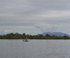 O Projeto Rio Vivo da Secretaria de Desenvolvimento Sustentável e do Turismo (Sedest) foi retomado no sábado (24), em Guaratuba, com o Festival Sul Brasileiro de Pesca. A iniciativa busca a preservação das bacias hidrográficas do Estado com o repovoamento de espécies de peixes nativos e o estímulo do turismo de atividades aquáticas.
Foto; Daniele Iachecen