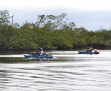 O Projeto Rio Vivo da Secretaria de Desenvolvimento Sustentável e do Turismo (Sedest) foi retomado no sábado (24), em Guaratuba, com o Festival Sul Brasileiro de Pesca. A iniciativa busca a preservação das bacias hidrográficas do Estado com o repovoamento de espécies de peixes nativos e o estímulo do turismo de atividades aquáticas.
Foto; Daniele Iachecen