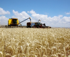 Adidos agrícolas vão apresentar oportunidades para o agronegócio. Foto: Jaelson Lucas/Arquivo AEN
