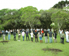 Governo do Estado faz plantio de mudas de araucária. Foto: Ari Dias/AEN
